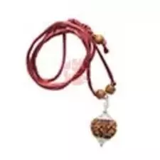 9-Mukhi-Rudraksh