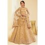 Caramel Gold Net Lehenga Choli with Embroidery