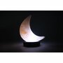 Schutz Mini Moon 1.5 Ibs Salt Lamp