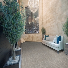 Buy carpet tiles- ESSENSA DIVERSITY ES9-002 SIGNA