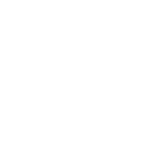 Handyman Services Ealing