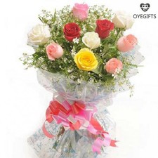 Send Colorful Hue Gifts Same Day Delivery from OyeGifts