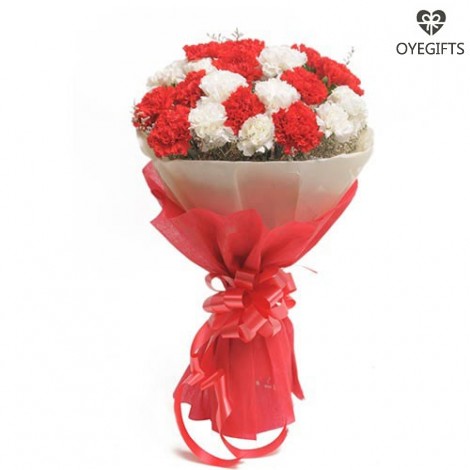 Send Red N White Carnations Flowers from OyeGifts