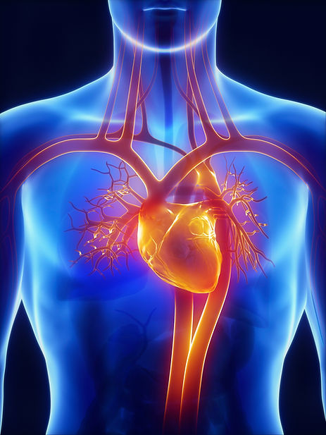 Atherosclerosis Clinical Tr...