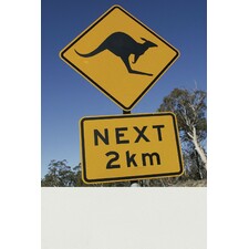 Get Creative with a Repositionable Floor Decal