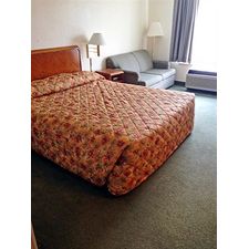 Motel 6 Raleigh North - Hotel Pet Policy