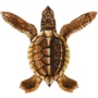 Turtle Swimming Pool Mosaic Brown A