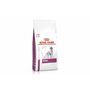 Royal Canin Veterinary Diet Renal Dry Dog Food