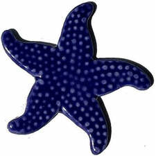 Starfish Swimming Pool Mosaic