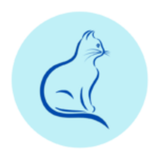 Pet Grooming on Wheels Petlogix At Home Van Grooming