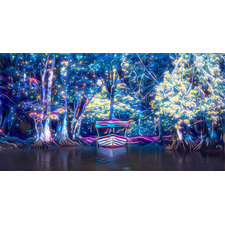 The Enchanted Mangrove - NFT Showroom