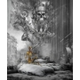 Wake up call | Rare Digital...