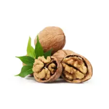 walnuts-akhrot wholesaler in india