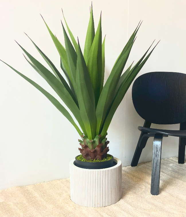 Agave Artificial Green Plan...