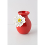 White Poppy Vase - Anthropologie.com