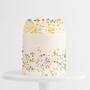 Ultimate Confetti Birthday Cake - Sweet E's Bake Shop