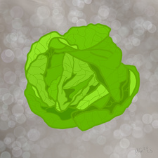 LETTUCE - ThetaDrop