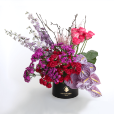 Luxury Elegance - Standard