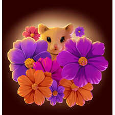 Cosmos and hamster - NFT Showroom