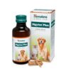 Himalaya Digyton Plus Diges...