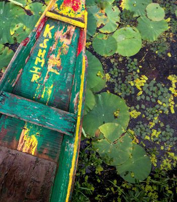 India Tour Packages | Holid...