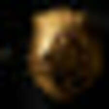 Buy Lion Head Wall Mount in the UK