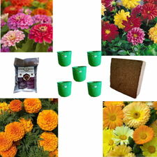 flower gardening kit
