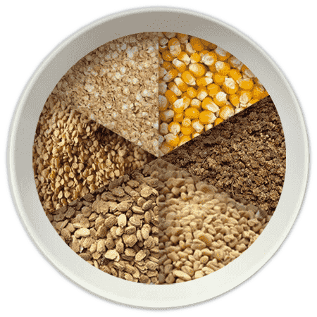 buy seeds online india