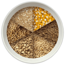 buy seeds online india