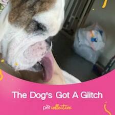 The Dog's Got A Glitch - ThetaDrop