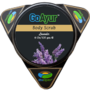 GoAyur Lavender Ayurvedic Body Scrub - 6 oz Natural Exfoliating & Herbal Body scrub,100% Herbal Actives, Natural Fragrance
