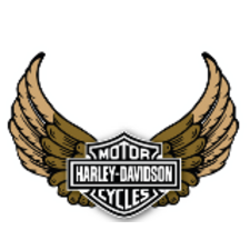 Harley-Davidson® Road Glide® 3