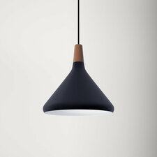 Drew Single Light Metal Dimmable Pendant
