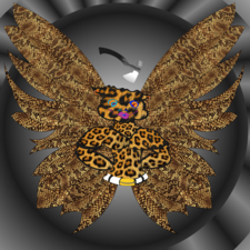 2,0 fly she - AtomicHub