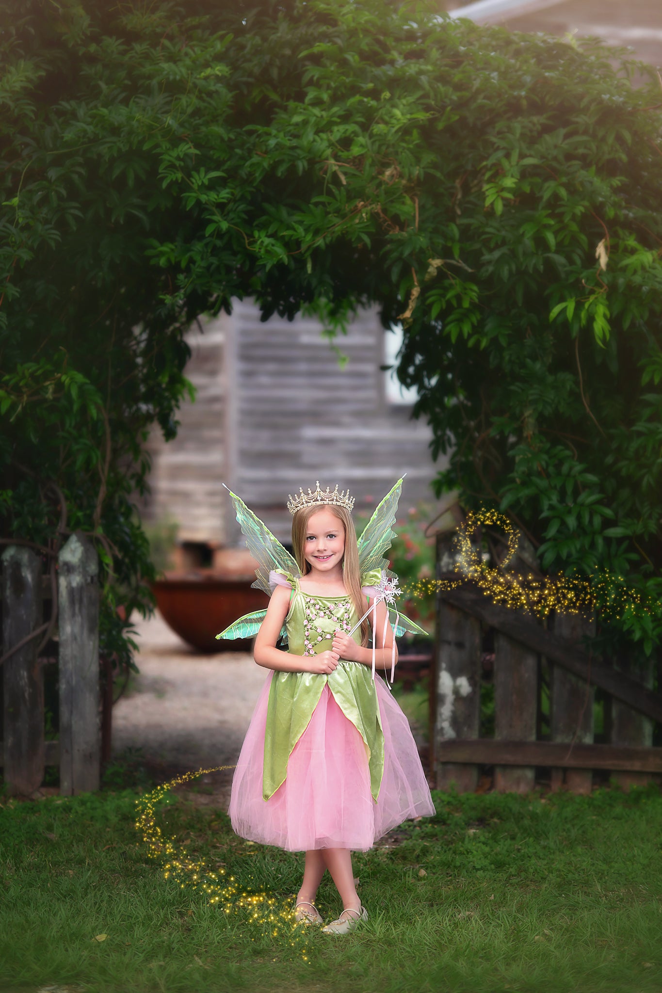 THE FANCIFUL FAIRY DRESS &a...