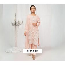 Chiffon Embroidered Ladies Suit