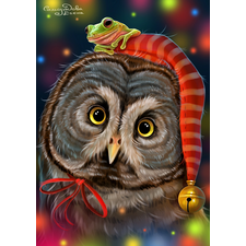 Owl and frogi - NFT Showroom