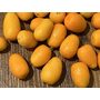 Citrus Trees For Sale