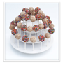 The Best Round Cake Pop Stand-Reusbale and Adjustable