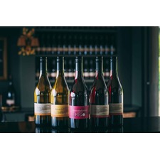 MV6 Pinot Noir 2019
