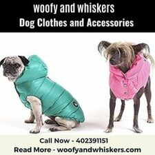 Dog Clothes and Accessories