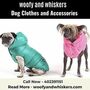 Dog Clothes and Accessories