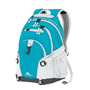 Amazon.com: High Sierra Loop Backpack (19 x 13.5 x 8.5-Inch, Teal/White): Sports & Outdoors