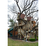 Amazing Kids' Tree House