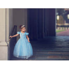 3 DAY FLASH SALE QUEEN OF THE KINGDOM PRINCESS DRESS COSTUME