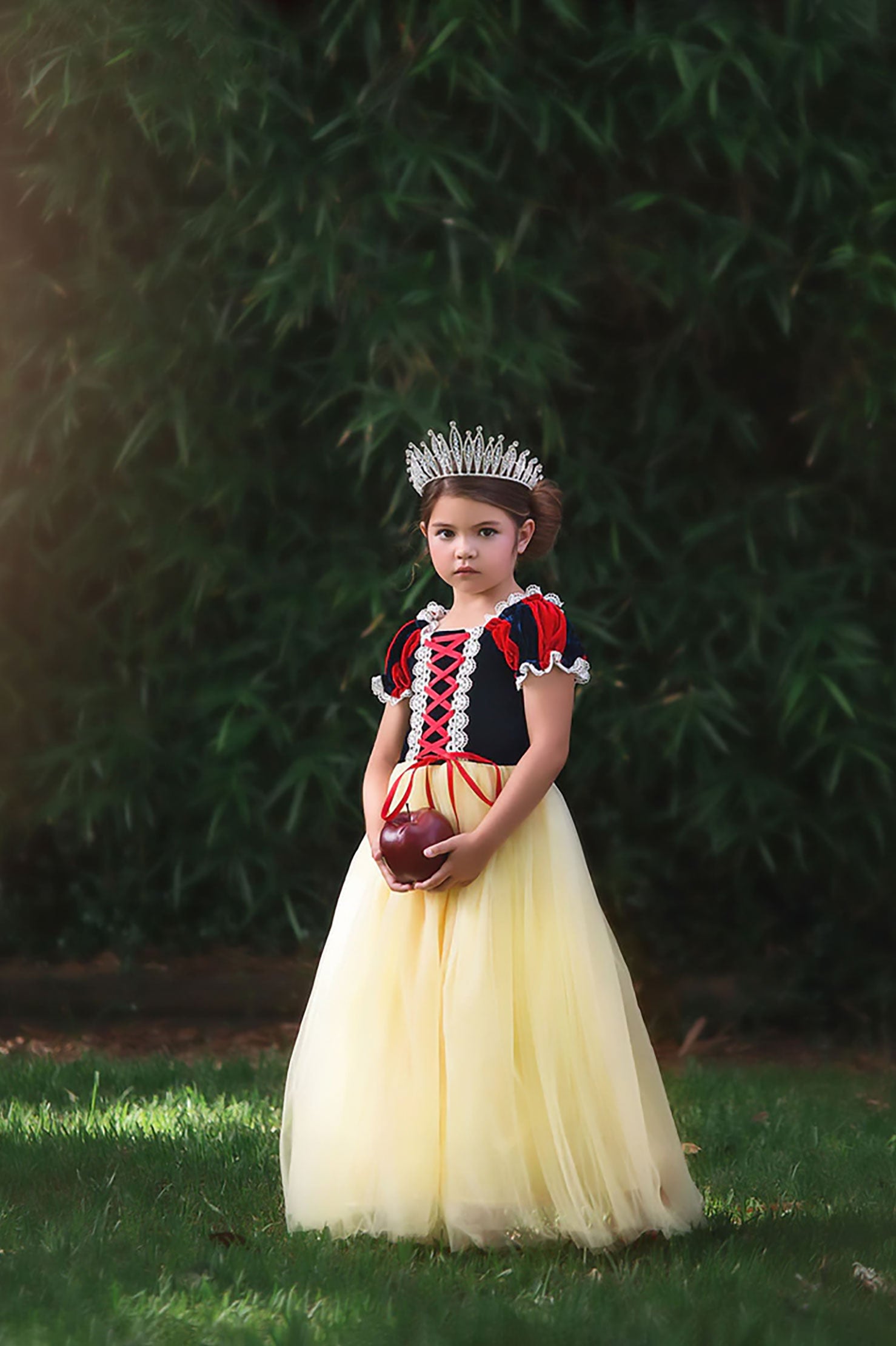 3 DAY FLASH SALE PRINCESS K...