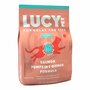 Lucy Pet Products Formulas for Life Dry Cat Food Salmon, Pumpkin &amp; Quinoa, 4 lb, Lucy Pet