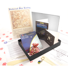 Name a Star Christmas