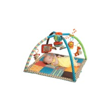 Infantino Go Ga Ga Deluxe Twist & Fold Gym Quick Information