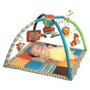 Infantino Go Ga Ga Deluxe Twist & Fold Gym Quick Information